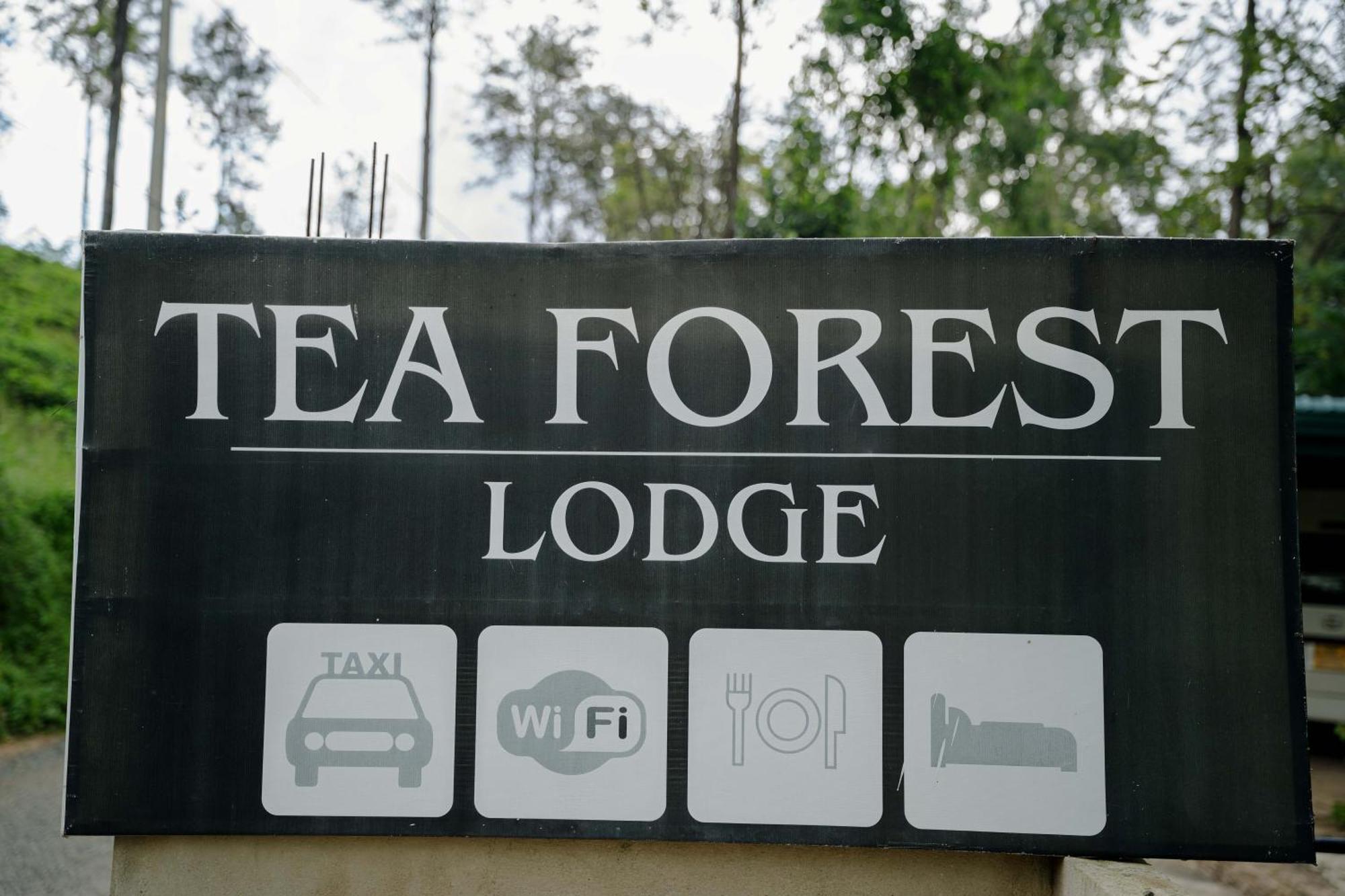 Tea Forest Lodge إيلا المظهر الخارجي الصورة