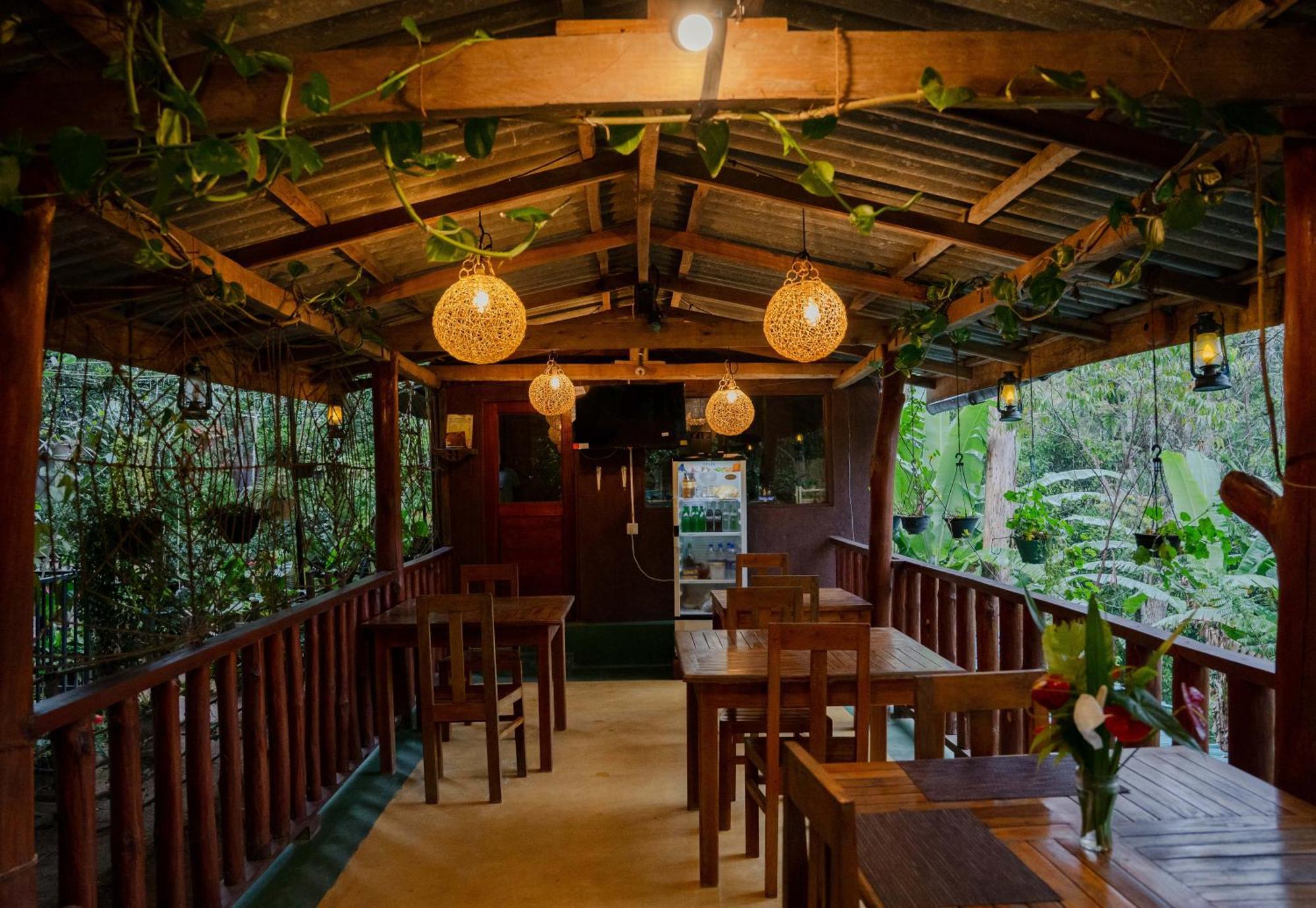 Tea Forest Lodge إيلا المظهر الخارجي الصورة